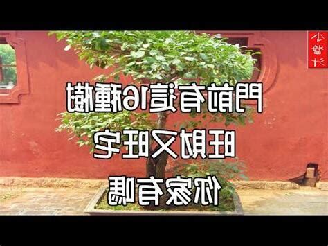 仙桃樹風水|【仙桃樹風水】仙桃樹風水大揭密！種植禁忌與家居運勢密切關聯。